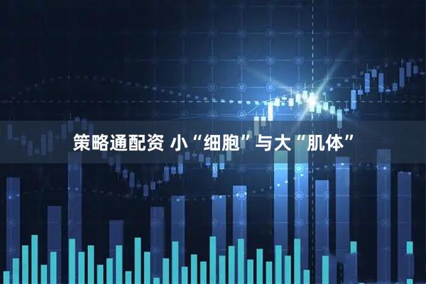 策略通配资 小“细胞”与大“肌体”