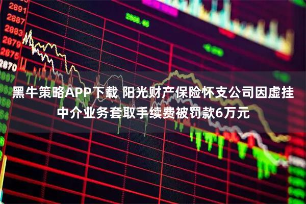 黑牛策略APP下载 阳光财产保险怀支公司因虚挂中介业务套取手续费被罚款6万元